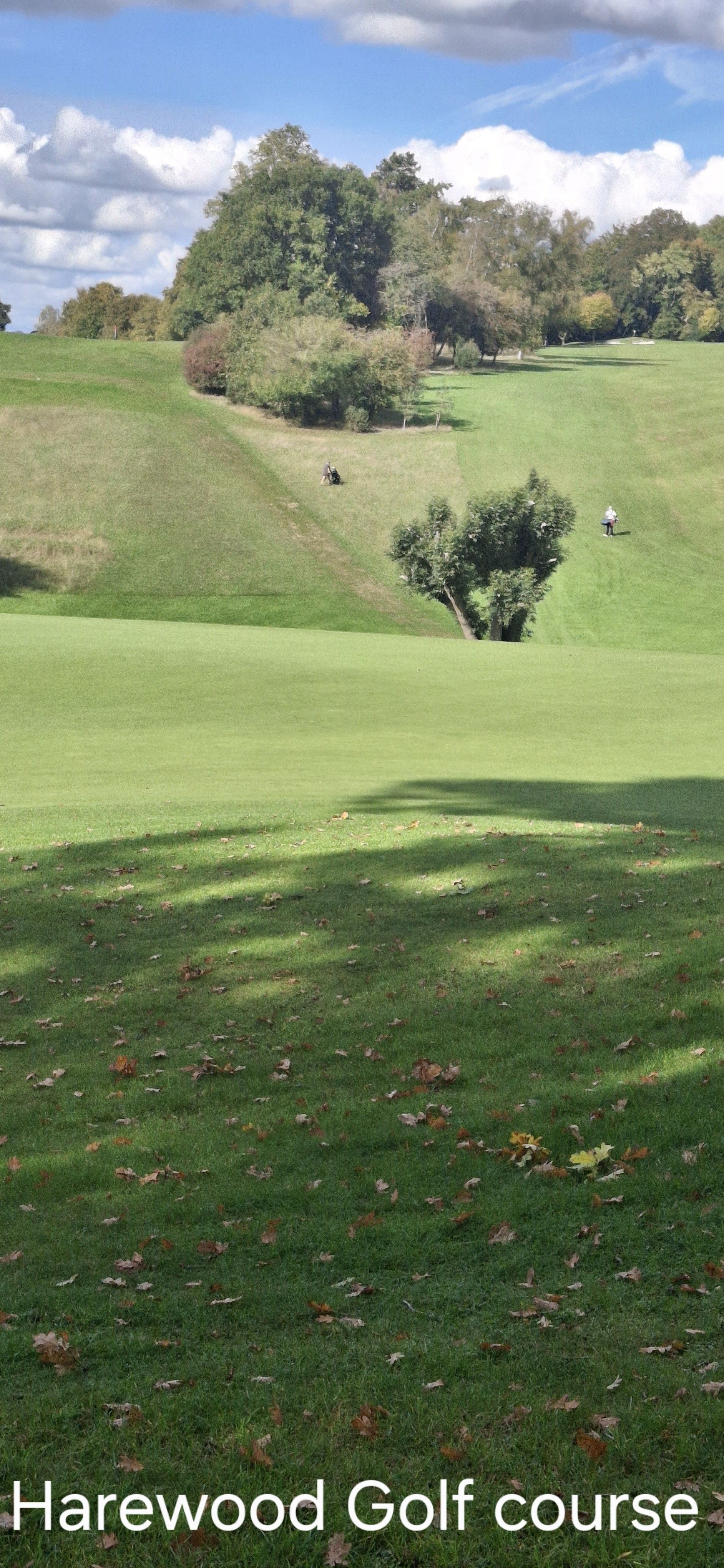 Harewood Golf Course